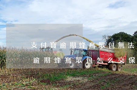 支付寶逾期蜂鳥眾包無法交保證金-支付寶逾期蜂鳥眾包怎么交保證金