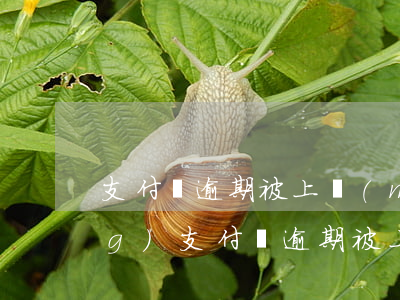 支付寶逾期被上門(mén)外訪(fǎng)(支付寶逾期被上門(mén)外訪(fǎng))