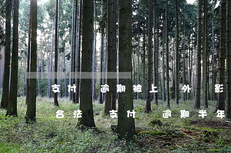 支付寶逾期被上門外訪,影響到我的生活這樣合法嗎（支付寶逾期半年外訪）