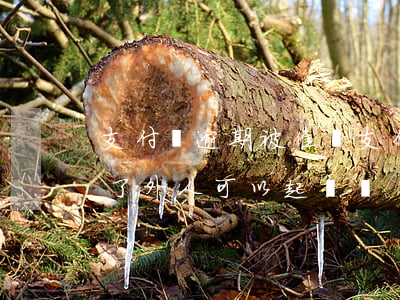 支付寶逾期被催債 支付寶逾期被催債的告訴了外人,可以起訴嗎