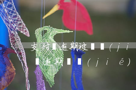 支付寶逾期被凍結(jié)還能用嗎(支付寶逾期凍結(jié)了還完可以繼續(xù)使用嗎)