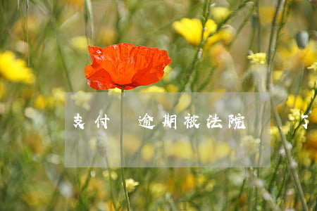 支付寶逾期被法院傳喚了