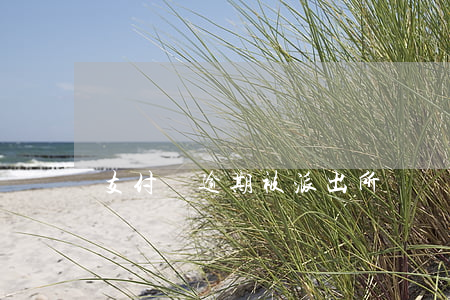 支付寶逾期被派出所傳喚(支付寶逾期傳喚單)