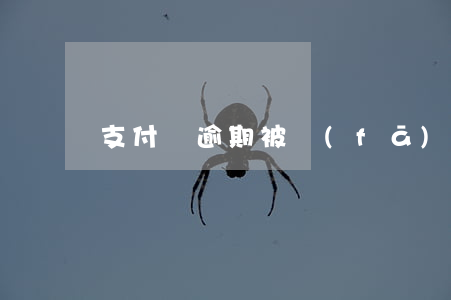 支付寶逾期被發(fā)告知函