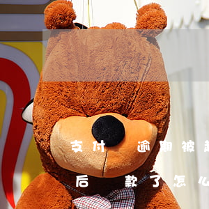 支付寶逾期被起訴6(支付寶逾期被起訴了,然后還款了,怎么撤銷起訴)