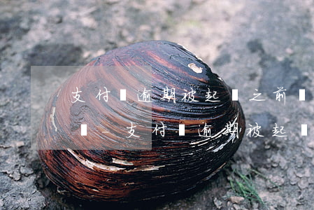 支付寶逾期被起訴之前會(huì)先通知嗎-支付寶逾期被起訴之前會(huì)先通知嗎知乎