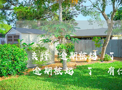 支付寶逾期被起訴了會有什么后果-支付寶逾期被起訴了會有什么后果嗎