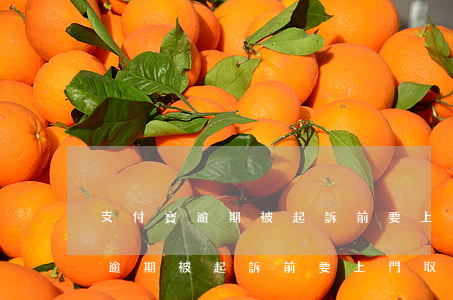 支付寶逾期被起訴前要上門取證嗎-支付寶逾期被起訴前要上門取證嗎是真的嗎