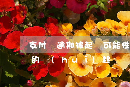 支付寶逾期被起訴可能性大嗎 支付寶逾期真的會(huì)起訴嗎?