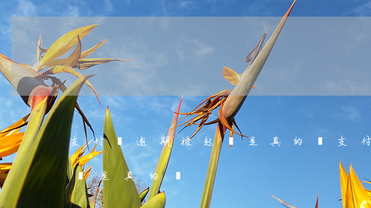 支付寶逾期被起訴是真的嗎(支付寶逾期被起訴是真的嗎)