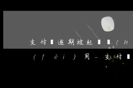 支付寶逾期被起訴會(huì)增加多少費(fèi)用-支付寶逾期被起訴會(huì)增加多少費(fèi)用呢
