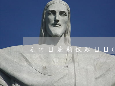 支付寶逾期被起訴會(huì)有什么后果