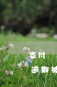 支付寶逾期被起訴會不會通知家人-支付寶逾期被起訴會不會通知家人呢