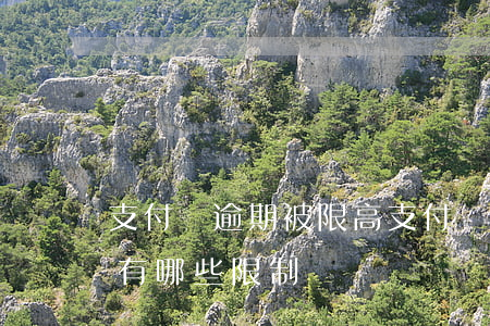 支付寶逾期被限高(支付寶逾期會(huì)有哪些限制)