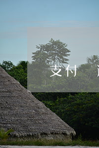 支付寶逾期要上征信嗎