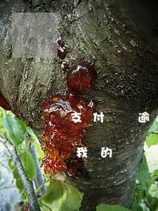 支付寶逾期要來(lái)核實(shí)我的資產(chǎn)情況-支付寶逾期要來(lái)核實(shí)我的資產(chǎn)情況嗎