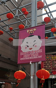 支付寶逾期要催嗎(支付寶逾期不到一個(gè)月,催收就說要起訴我)