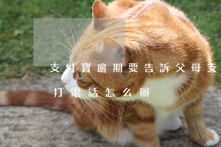 支付寶逾期要告訴父母(支付寶逾期給我父母打電話怎么辦)