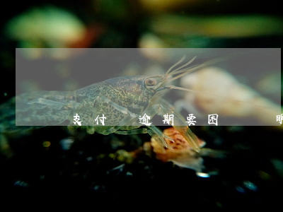 支付寶逾期要困難證明