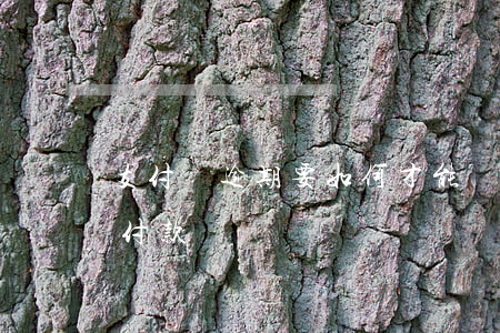 支付寶逾期要如何才能還款(支付寶逾期還能付款嗎)