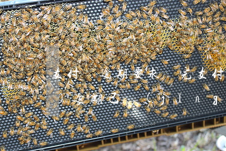 支付寶逾期要求還完(支付寶已經(jīng)逾期已經(jīng)超過(guò)還款時(shí)間怎么辦)