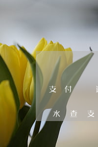 支付寶逾期要網(wǎng)銀流水(銀行流水查支付寶嗎)