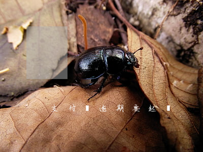 支付寶逾期要起訴