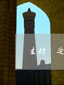 支付寶逾期訂單(支付寶不小心逾期了)