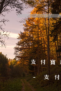 支付寶逾期記錄不修復(fù)有什么后果-支付寶逾期記錄修復(fù)成功后多久才能恢復(fù)