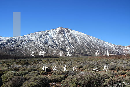 支付寶逾期記錄不修復(fù)有什么后果（為什么支付寶逾期記錄沒(méi)法支付）