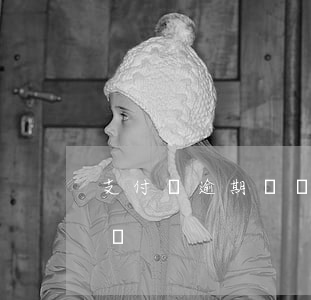 支付寶逾期記錄兩年 有支付寶逾期兩三年的嗎