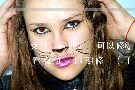 支付寶逾期記錄可以修復(fù)幾次(怎么看支付寶逾期修復(fù)記錄)
