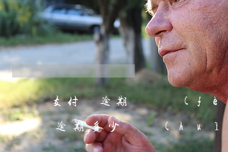 支付寶逾期訴訟費(fèi)多少-支付寶逾期多少錢會(huì)起訴