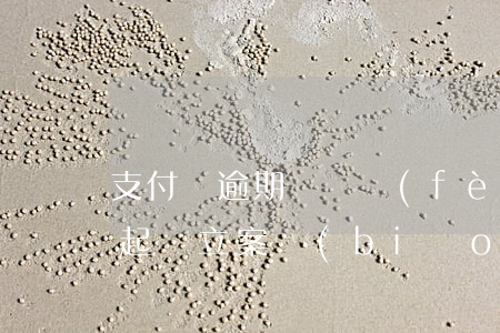支付寶逾期訴訟費(fèi)用(支付寶逾期起訴立案標(biāo)準(zhǔn))