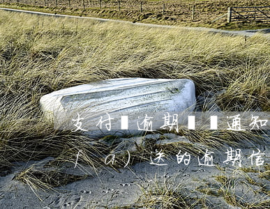 支付寶逾期訴訟通知短信有效嗎(支付寶發(fā)送的逾期信息)