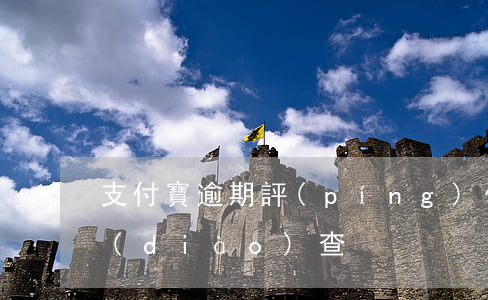 支付寶逾期評(píng)估(支付寶逾期調(diào)查)