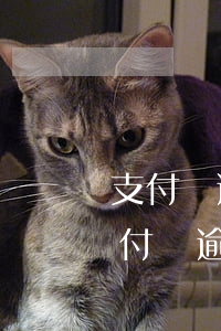 支付寶逾期說(shuō)去戶籍所在地(支付寶逾期5天說(shuō)要聯(lián)系戶籍所在地是真的嗎?)