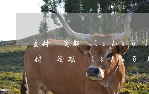 支付寶逾期說(shuō)安排人員上門 支付寶逾期說(shuō)安排上門核實(shí)