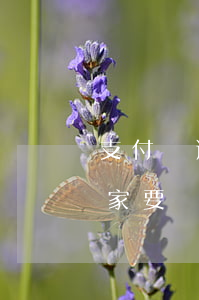 支付寶逾期說(shuō)會(huì)回家要錢 支付寶逾期五千塊錢說(shuō)你今天六點(diǎn)不還要來(lái)家家訪回來(lái)嗎
