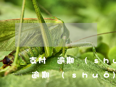 支付寶逾期說(shuō)立案起訴(支付寶逾期說(shuō)要起訴我一般法院需要多長(zhǎng)時(shí)間)