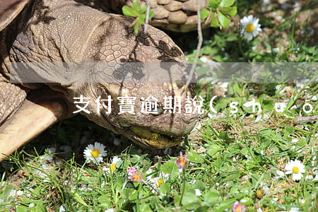 支付寶逾期說(shuō)要簽字