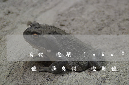 支付寶逾期說(shuō)要走法律程序寄催繳涵（支付寶逾期催繳函）