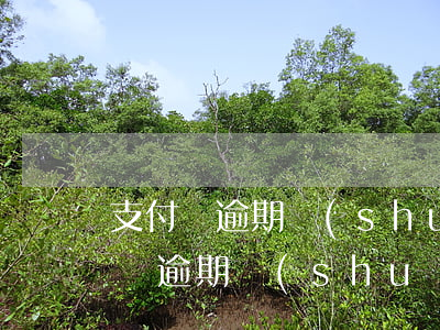 支付寶逾期說(shuō)讓去銀行查(支付寶逾期說(shuō)讓去銀行查)