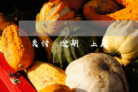 支付寶逾期說上庭