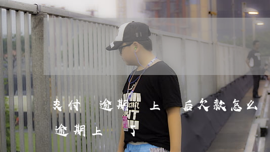 支付寶逾期說上門后欠款怎么處理-支付寶逾期上門了