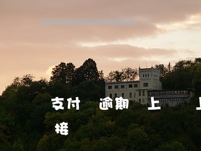 支付寶逾期說上門沒上門(支付寶逾期上門不接電話)