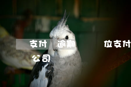 支付寶逾期說來單位(支付寶逾期會打電話給公司嗎)