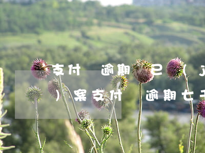 支付寶逾期說已經(jīng)報(bào)案(支付寶逾期七千多后發(fā)短信說要報(bào)案真的假的)