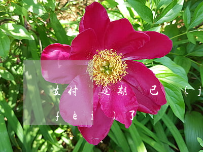 支付寶逾期說已經(jīng)打訴訟費(fèi)了
