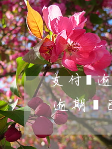支付寶逾期說已經(jīng)立案(支付寶逾期說已經(jīng)立案)